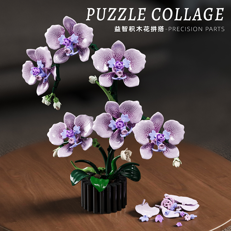 Conjunto de Orquídea Phalaenop - Tech House Accessories avaliação e preço